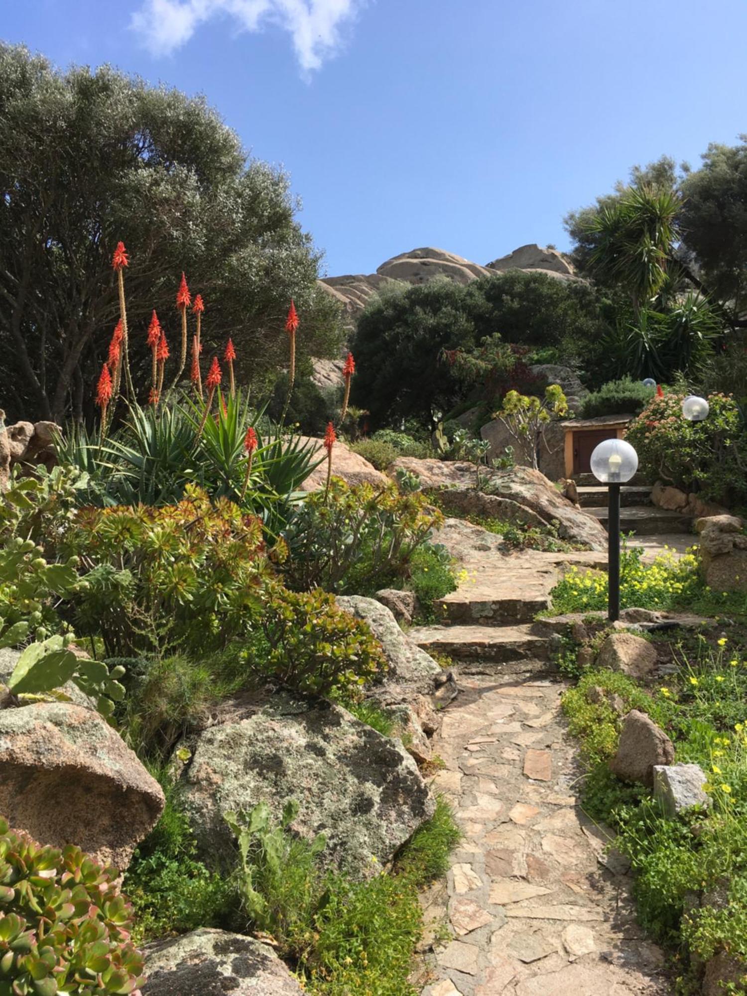 L'Olivastro Appartamenti A Porto Cervo Bagian luar foto